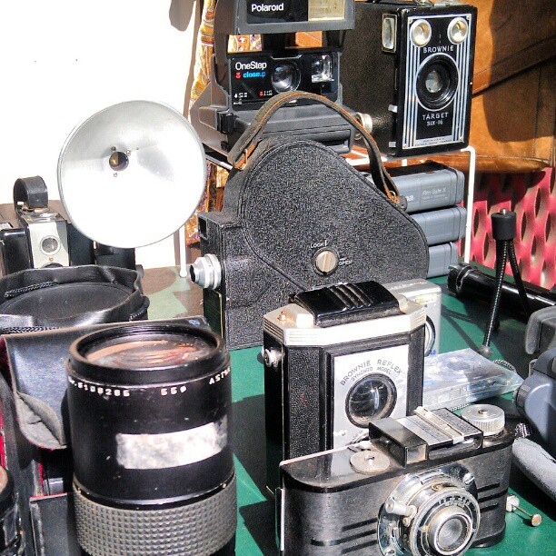 Old cameras galore! #vintage #MelroseTradingPost #antique #photography