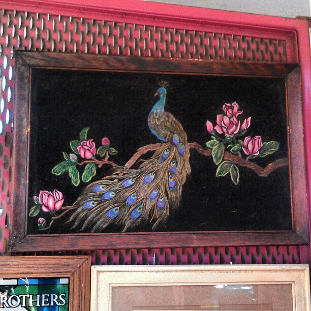 Gorgeous black velvet painting of a peacock in the food court. #MelroseTradingPost #fleamarket #velvet