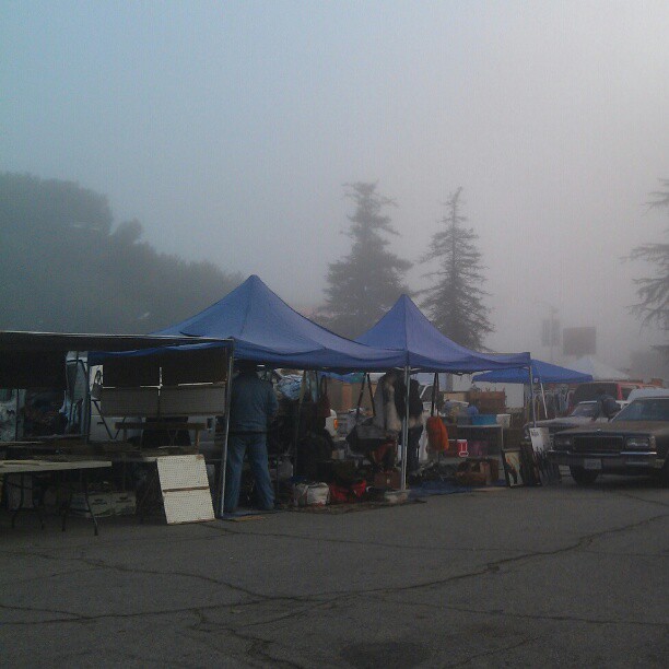 Foggy Sunday Morning! If you're an early #SundayFunday shopper, bring a coat. Otherwise, it looks like it will be a gorgeous LA day!  #MelroseTradingPost #fleamarket #fog