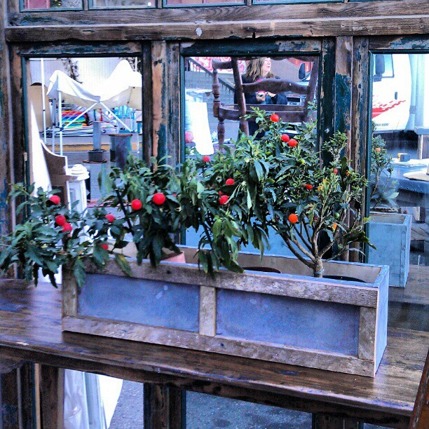 Diane in B99 knows how to display her work! I love this mirrored piece and planter box! #MelroseTradingPost #shabbychic #vintage #home #design #decor