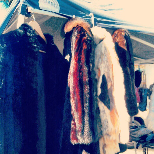 What about some fabulous vintage furs? #Melrosetradingpost #fleamarket #vintage #fashion #LA