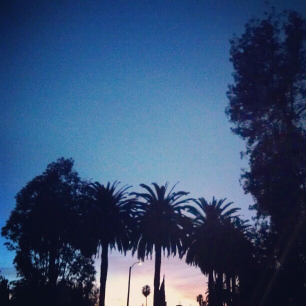 Thank you for another glorious 76 degree winter #SundayFunday !! #melrosetradingpost  #LA #February #sunset