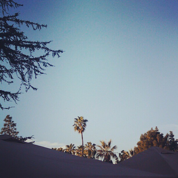 Goodie Morning LA! Are you ready for a sunny #SundayFunday ??? #Melrosetradingpost #LA