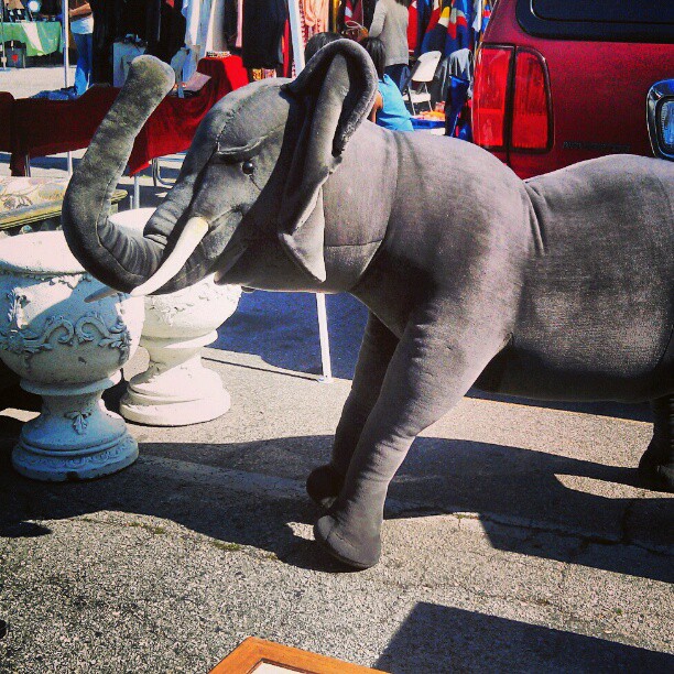 For those in the Market for a plush animatronic elephant, we've got you covered in B111. #Melrosetradingpost #fleamarket #elephant #animal #SundayFunday