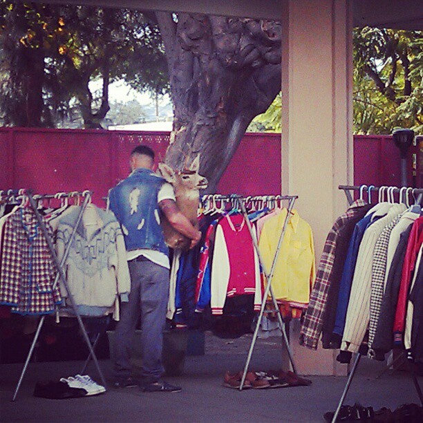 Oh deer... So Typical. #Melrosetradingpost #fleamarket #la #taxidermy #deer #shop
