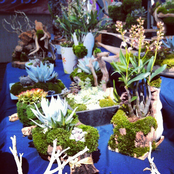 We love Ty's plant arrangements!! #Melrosetradingpost #fleamarket #plant #SundayFunday #la