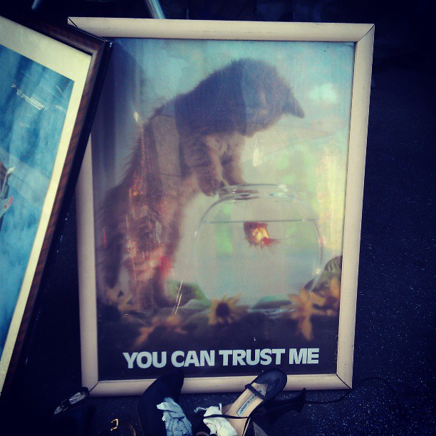 You Can Trust Me...#cat #kitten #fish #Melrosetradingpost #fleamarket #poster #1980 #vintage