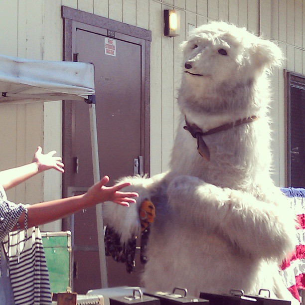 Have you hugged a polar bear lately? #Melrosetradingpost #fleamarket #losangeles #bear #polar #hug