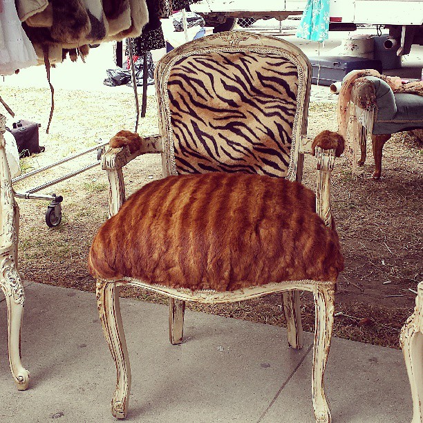 This refurbished antique mink chair in G4 is out of control!