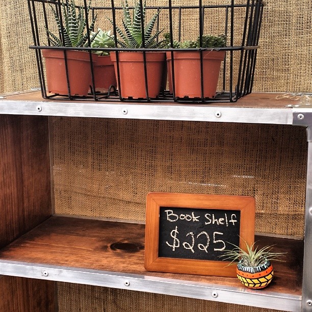 We love Marela's plants and furniture in G33!