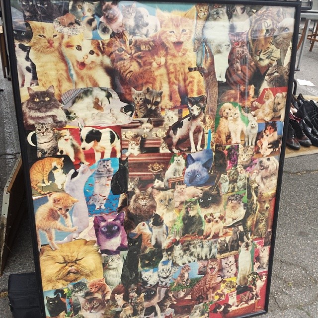 We hope someone purchases this Cat Collage Extravaganza in B87!