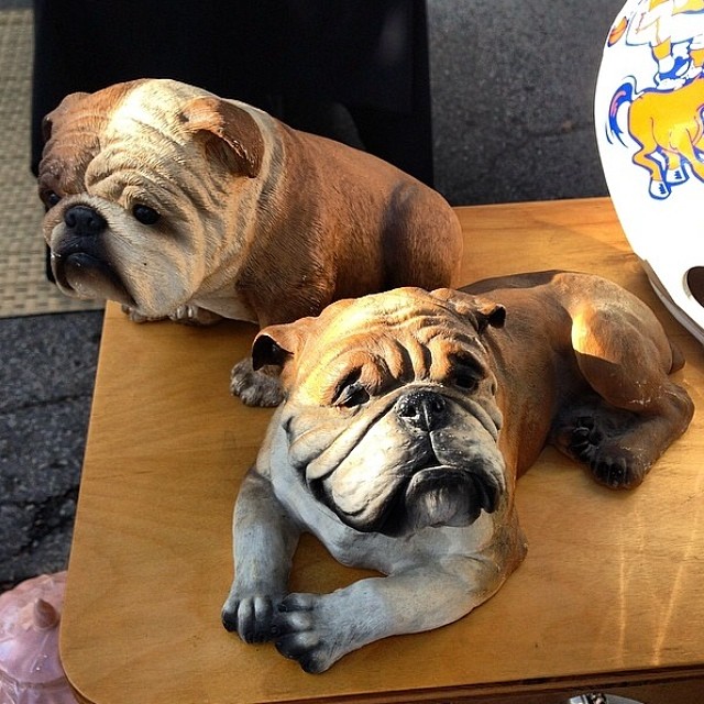 These Pups need homes and we promise you won't be allergic to them! Find them in booth p93, @reds_antiques!