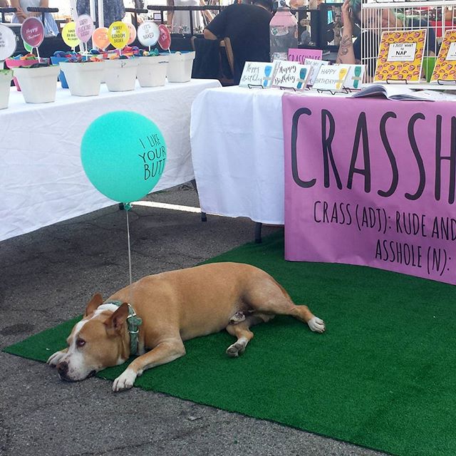 Melrose Trading Post Todays Cutie Pie Of The Day Is Tank From Crassholes 