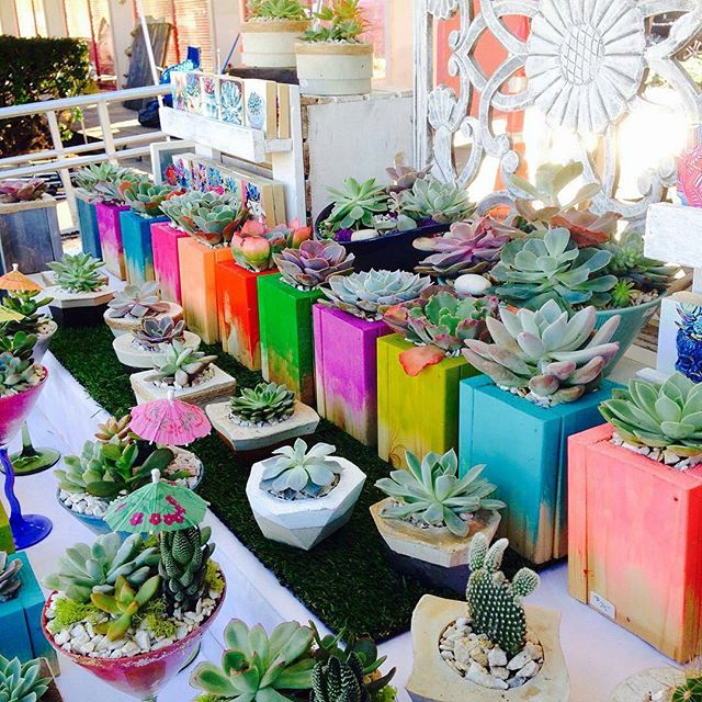 Melrose Trading Post | Succulent Heaven (@succulentheaven) is in space ...