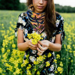 yellow flowers spring blue mermaid